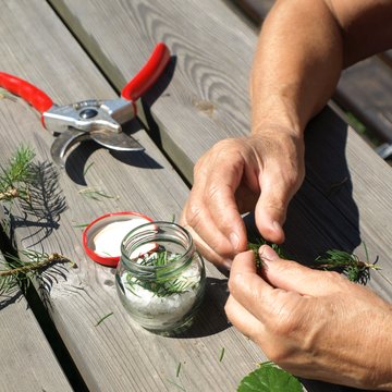Kräuterwanderung Bild TVB Seeboden Kräuterwanderung Bild TVB Seeboden