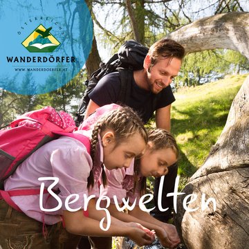 Berwelten Bild Photo Simonis Wien
